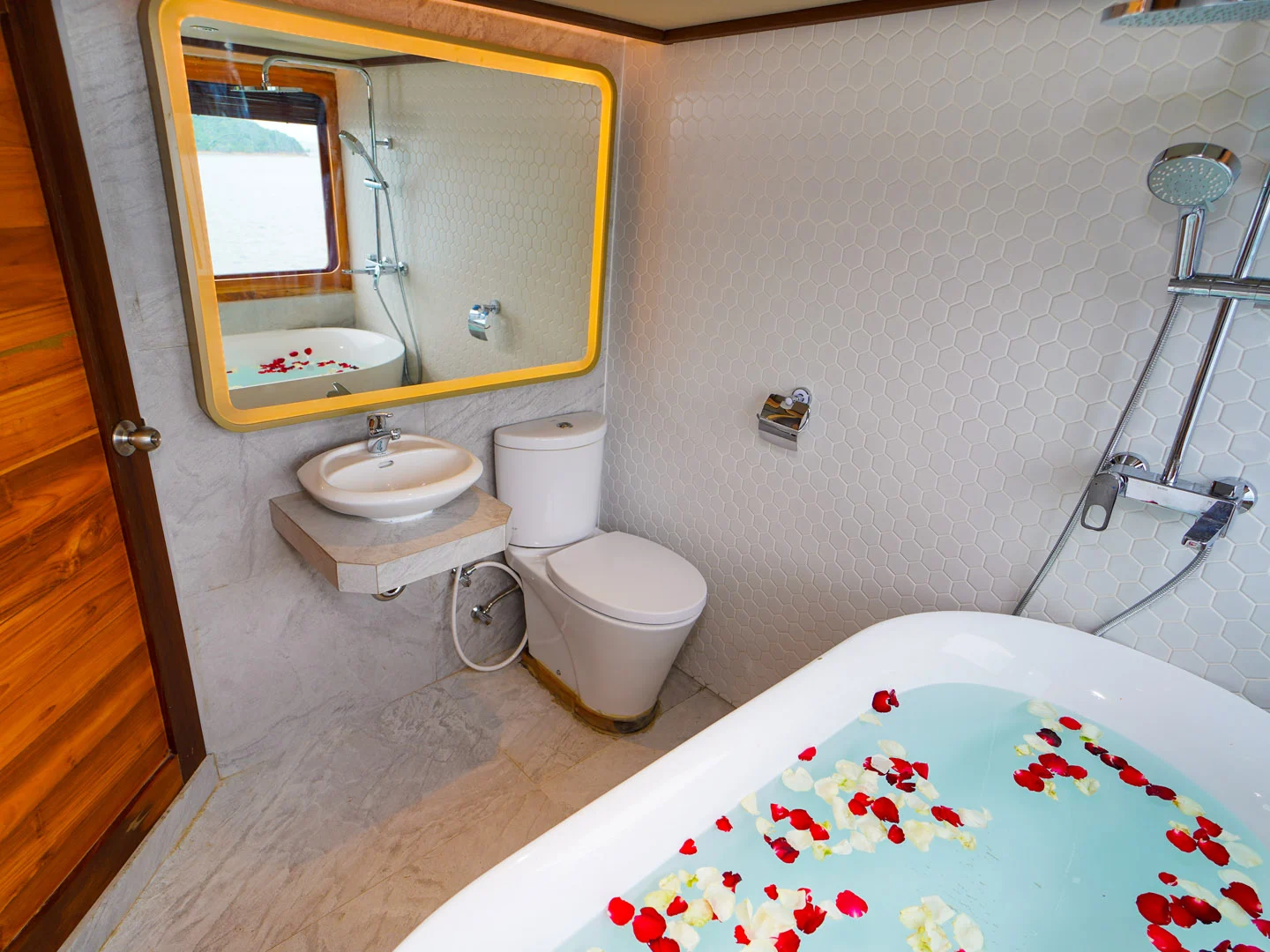 Bathroom Toilet and Bathtub - LaMain Voyage 1