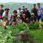 Komodo National Park 2026 Visitor Quota: 1,000 Daily Limit & Reservation System